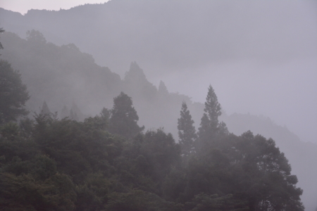 f:id:kurokoshusaru:20150907185204j:image f:id:kurokoshusaru:20150907185204j:image