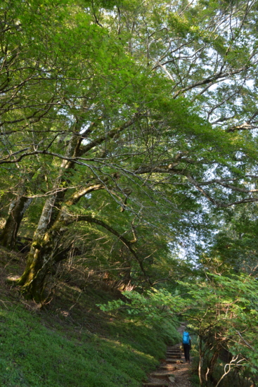 f:id:kurokoshusaru:20150907185534j:image f:id:kurokoshusaru:20150907185534j:image