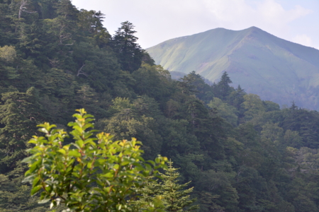 f:id:kurokoshusaru:20150909191313j:image