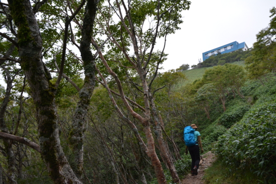 f:id:kurokoshusaru:20150909191830j:image