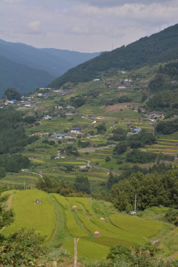 f:id:kurokoshusaru:20150913160124j:image f:id:kurokoshusaru:20150913160124j:image