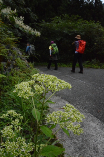 f:id:kurokoshusaru:20150913160802j:image f:id:kurokoshusaru:20150913160802j:image