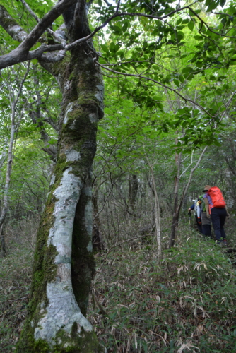 f:id:kurokoshusaru:20150916190925j:image f:id:kurokoshusaru:20150916190925j:image