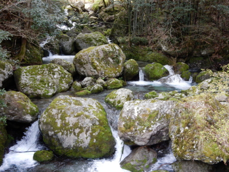 f:id:kurokoshusaru:20160409171249j:image f:id:kurokoshusaru:20160409171249j:image