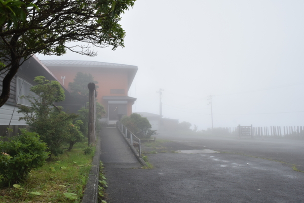 山ツツジと山荘