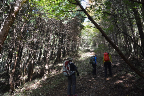 f:id:kurokoshusaru:20161101185214j:image