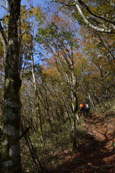 f:id:kurokoshusaru:20161101185652j:image