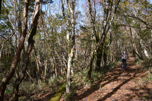 f:id:kurokoshusaru:20161101185732j:image