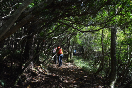 f:id:kurokoshusaru:20161101190106j:image