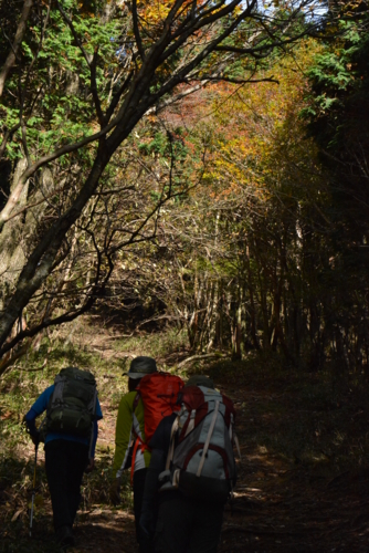 f:id:kurokoshusaru:20161103174901j:image