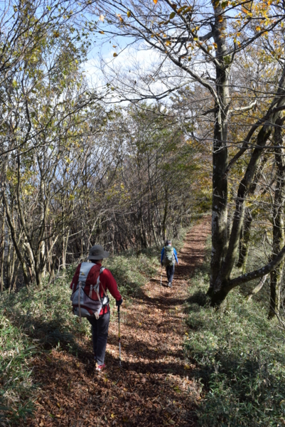 f:id:kurokoshusaru:20161103180254j:image