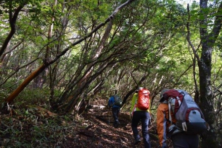 f:id:kurokoshusaru:20161104190315j:image f:id:kurokoshusaru:20161104190315j:image