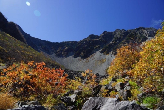 f:id:kurokoshusaru:20161106180511j:image