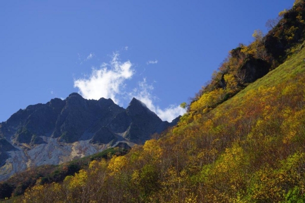 f:id:kurokoshusaru:20161106180920j:image