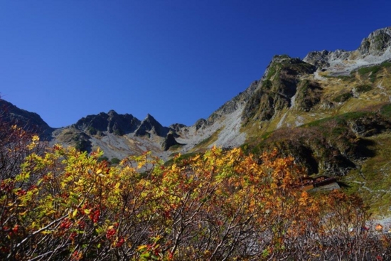 f:id:kurokoshusaru:20161106180922j:image