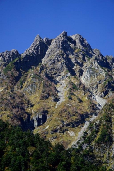 f:id:kurokoshusaru:20161106181641j:image