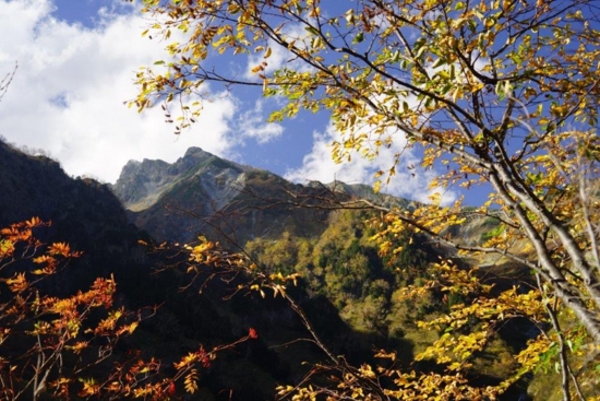 f:id:kurokoshusaru:20161106182220j:image