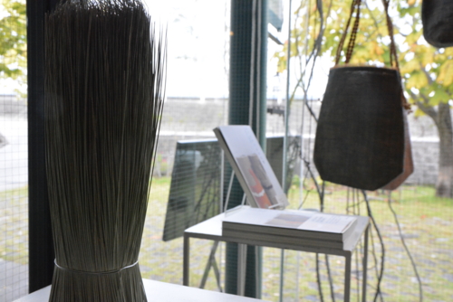 f:id:kurokoshusaru:20161107183608j:image f:id:kurokoshusaru:20161107183608j:image