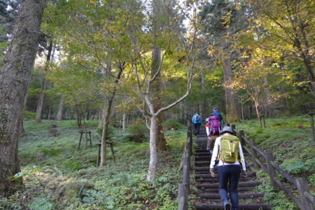 f:id:kurokoshusaru:20161108185519j:image