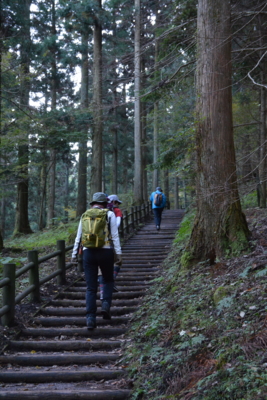 f:id:kurokoshusaru:20161108185858j:image