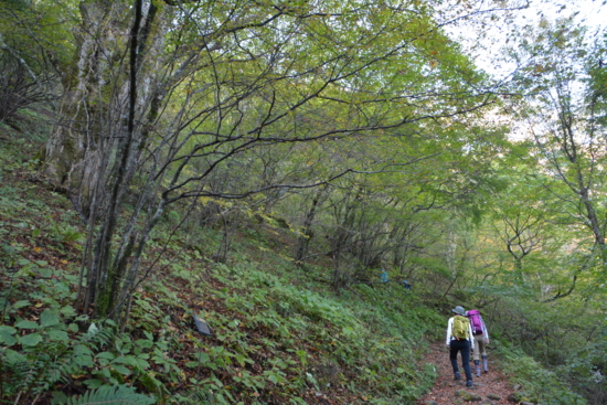 f:id:kurokoshusaru:20161108190215j:image