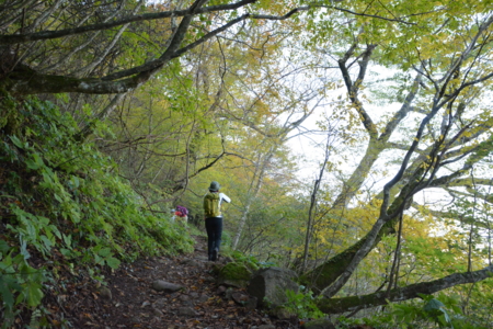 f:id:kurokoshusaru:20161109182043j:image