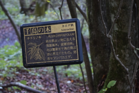 f:id:kurokoshusaru:20161110210317j:image f:id:kurokoshusaru:20161110210317j:image