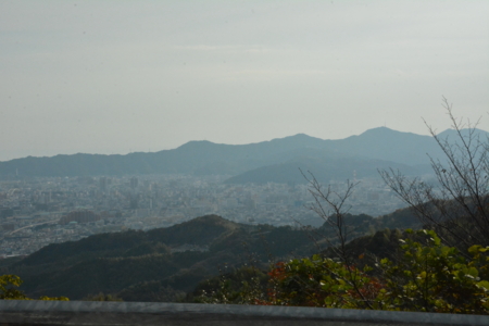 f:id:kurokoshusaru:20161114190817j:image f:id:kurokoshusaru:20161114190817j:image