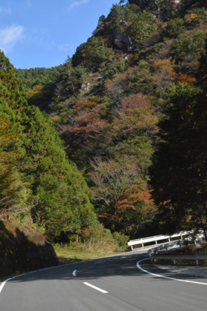 f:id:kurokoshusaru:20161114191433j:image f:id:kurokoshusaru:20161114191433j:image