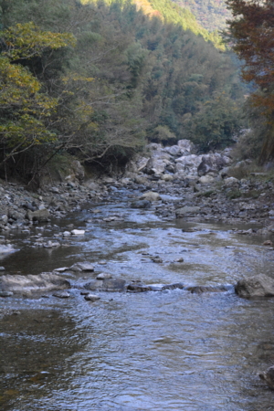 f:id:kurokoshusaru:20161114191453j:image