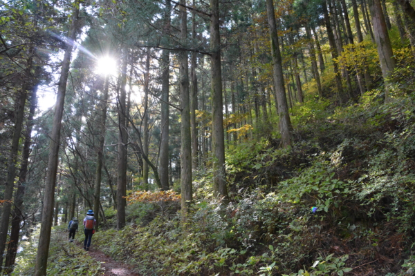 f:id:kurokoshusaru:20161114191737j:image f:id:kurokoshusaru:20161114191737j:image