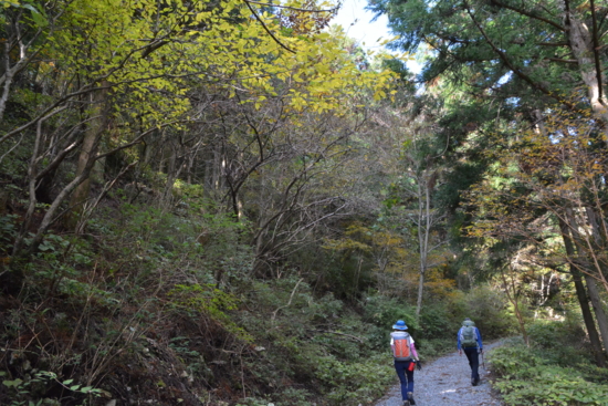 f:id:kurokoshusaru:20161114191801j:image f:id:kurokoshusaru:20161114191801j:image