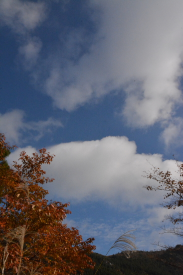 f:id:kurokoshusaru:20161114191820j:image f:id:kurokoshusaru:20161114191820j:image