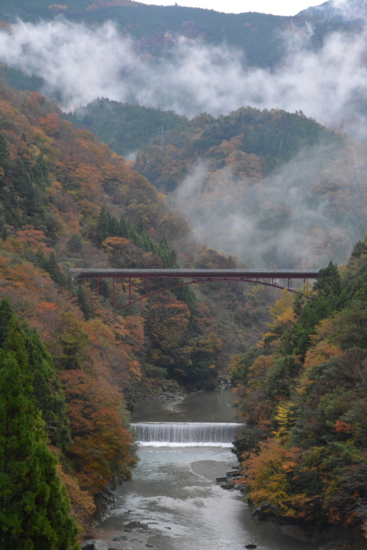 f:id:kurokoshusaru:20161120182252j:image