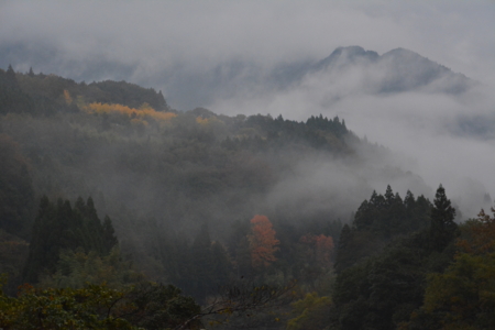 f:id:kurokoshusaru:20161120182413j:image