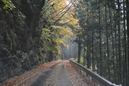 f:id:kurokoshusaru:20161120182905j:image