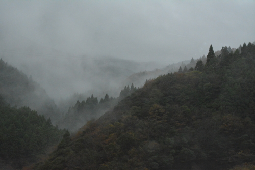 f:id:kurokoshusaru:20161130183016j:image