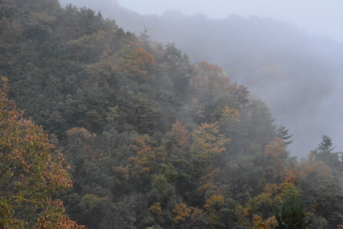 f:id:kurokoshusaru:20161130183221j:image