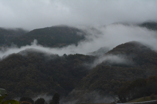 f:id:kurokoshusaru:20161130183240j:image