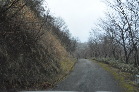 f:id:kurokoshusaru:20170110183450j:image f:id:kurokoshusaru:20170110183450j:image