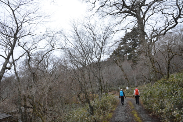 f:id:kurokoshusaru:20170110184434j:image f:id:kurokoshusaru:20170110184434j:image