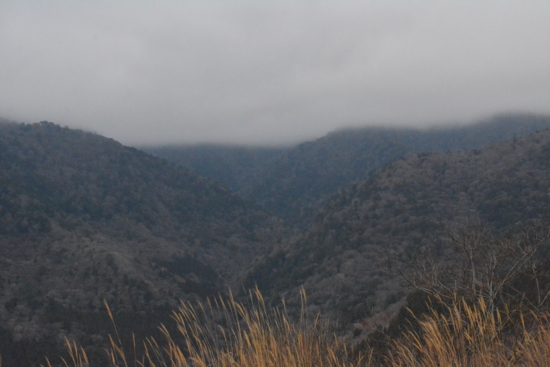 f:id:kurokoshusaru:20170110185053j:image f:id:kurokoshusaru:20170110185053j:image