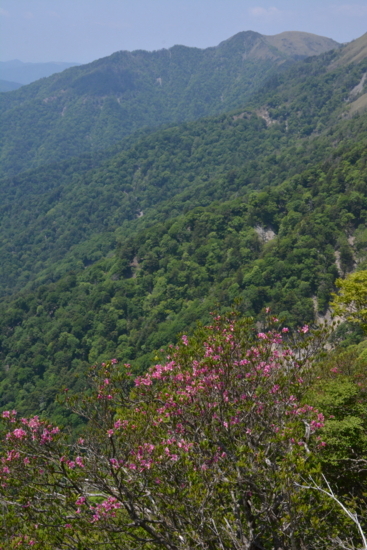 f:id:kurokoshusaru:20170612190803j:image f:id:kurokoshusaru:20170612190803j:image