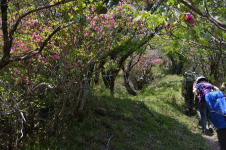 f:id:kurokoshusaru:20170612190817j:image f:id:kurokoshusaru:20170612190817j:image