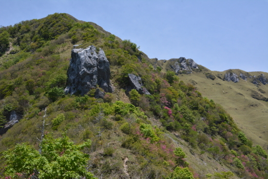 f:id:kurokoshusaru:20170612191302j:image f:id:kurokoshusaru:20170612191302j:image