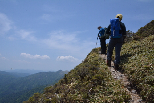 f:id:kurokoshusaru:20170612191724j:image f:id:kurokoshusaru:20170612191724j:image