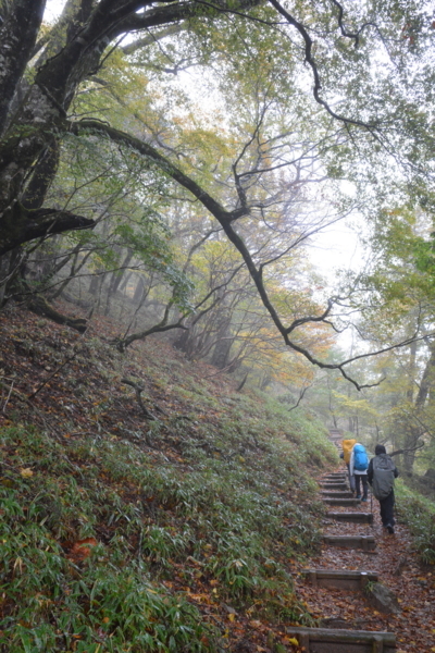 f:id:kurokoshusaru:20171029143548j:image