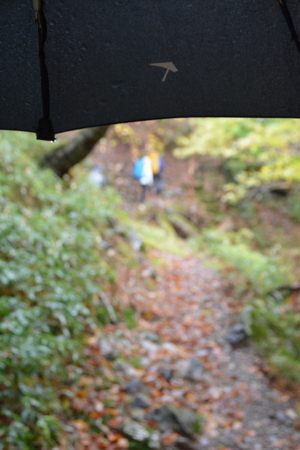 f:id:kurokoshusaru:20171031182828j:image