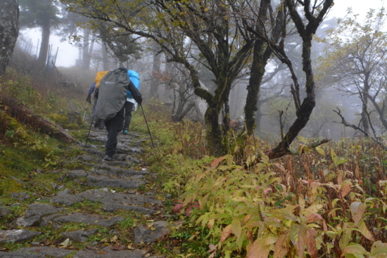 f:id:kurokoshusaru:20171031183427j:image