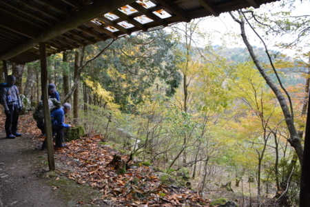 f:id:kurokoshusaru:20171107190742j:image